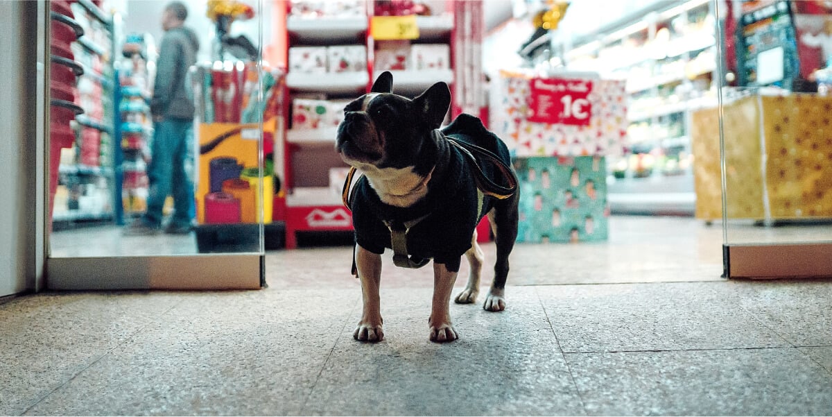 pet shop 01